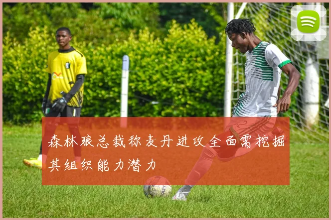 森林狼总裁称麦丹进攻全面需挖掘其组织能力潜力