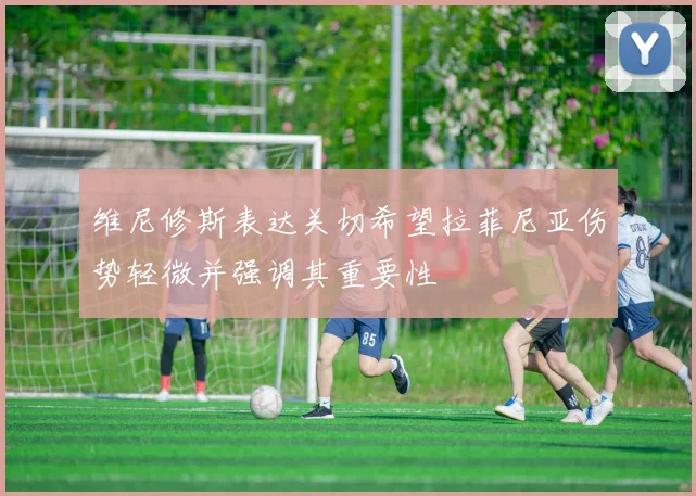 维尼修斯表达关切希望拉菲尼亚伤势轻微并强调其重要性
