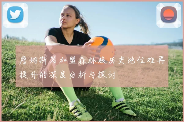 詹姆斯若加盟森林狼历史地位难再提升的深度分析与探讨